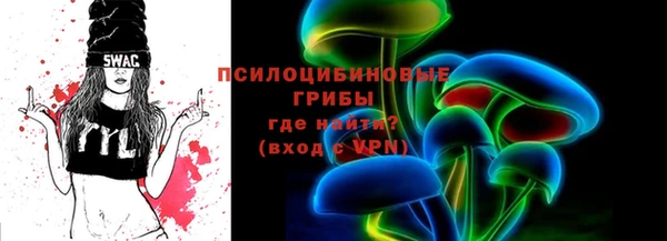 PSILOCYBIN Козловка