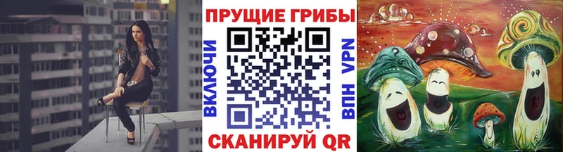 Галлюциногенные грибы мицелий  где купить наркоту  Карабулак 